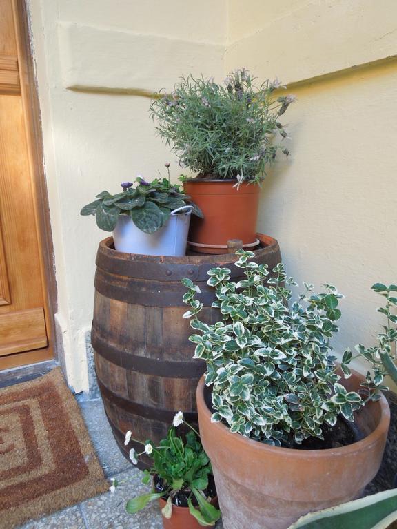 Rustic Elegance Appartement Boedapest Buitenkant foto